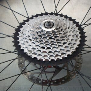 Gran Piñón COG 42T